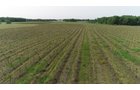 Van Buren County, Michigan farmland - LAND AUCTION - 194+/- ACRES OFFERED IN 5 TRACTS IN VAN BUREN COUNTY, MICHIGAN